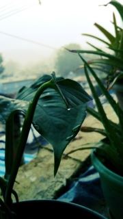 Doing Little Things To Save Water